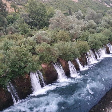 Villa Buna Εξωτερικό φωτογραφία