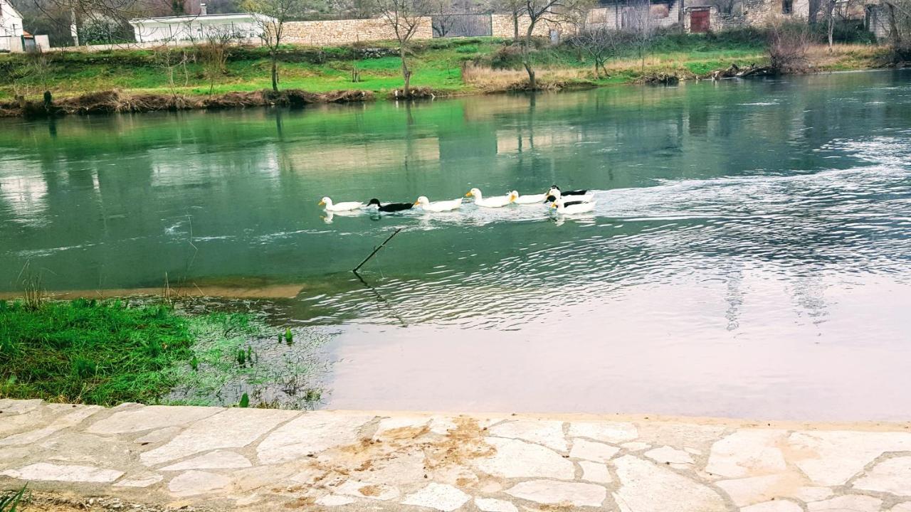 Villa Buna Εξωτερικό φωτογραφία