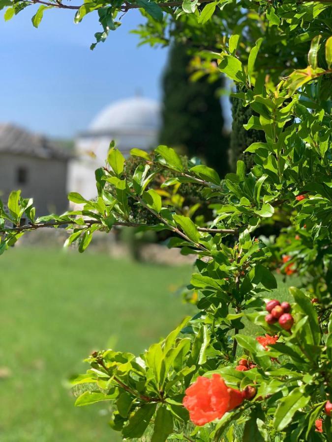 Villa Buna Εξωτερικό φωτογραφία